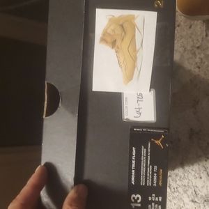 Air jordan true flight